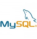 MySQL