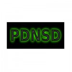 PDNSD